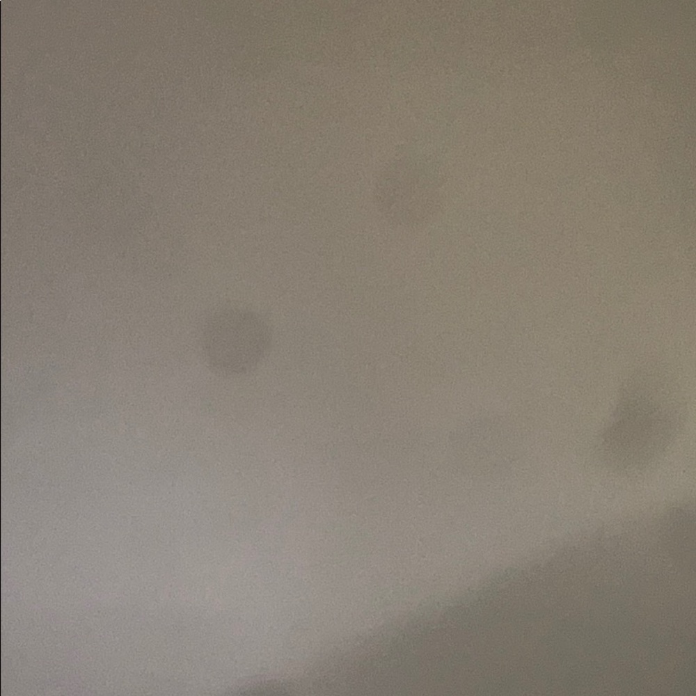 Meet your Posher, Darius